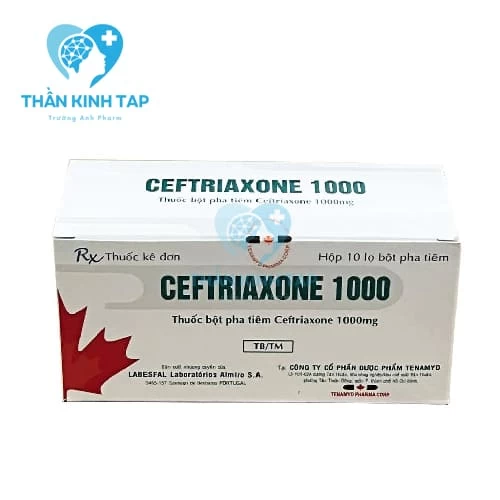 Ceftriaxone 1000 - Thuốc điều trị nhiễm khuẩn